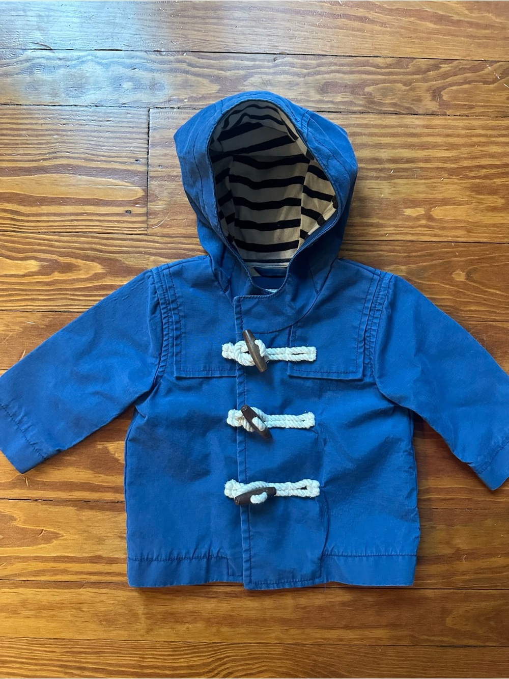 Paddington Bear Royal Blue Hooded Toggle Raincoat